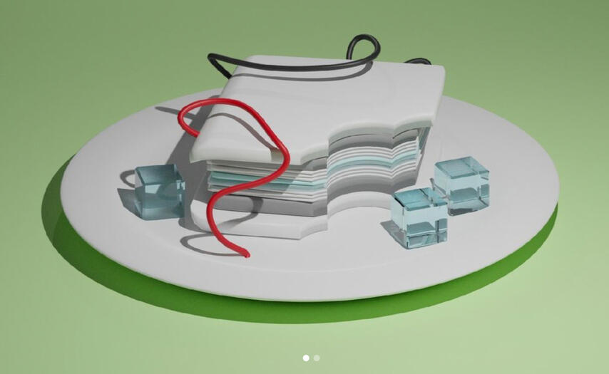 western blot sandwich